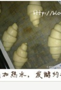 Step 12