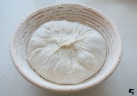 Step 5