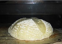 Step 7