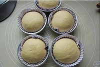Step 10