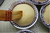 Step 11