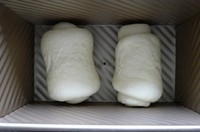 Step 11