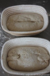 Step 5