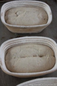 Step 6