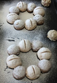 Step 5