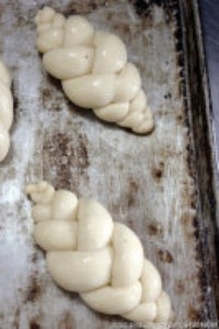 Step 5