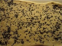 Step 5