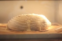 Step 4
