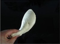 Step 5