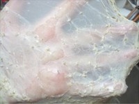 Step 6