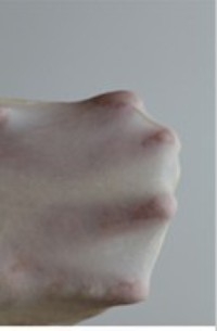 Step 3