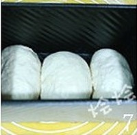 Step 7