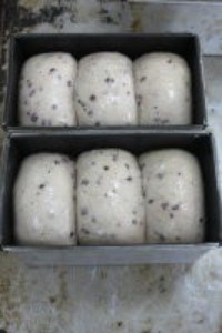 Step 7