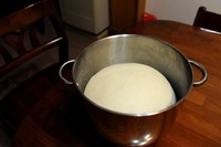 Step 1
