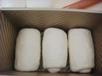 Step 4
