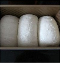 Step 11