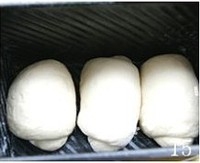 Step 15