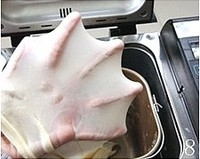 Step 8