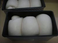 Step 10