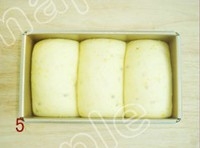 Step 5