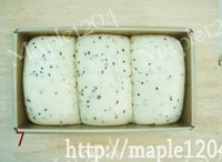 Step 7