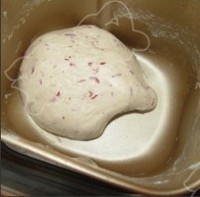 Step 16