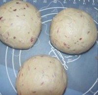 Step 22