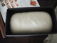 Step 5
