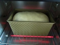 Step 6