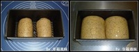 Step 5