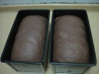 Step 9