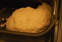 Step 12