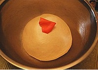 Step 15