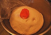 Step 19