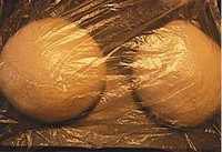 Step 21