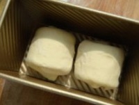 Step 5