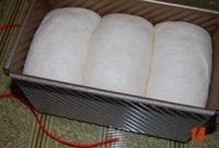 Step 13