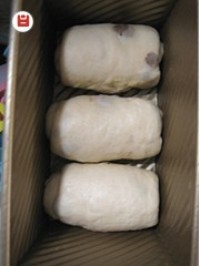 Step 8