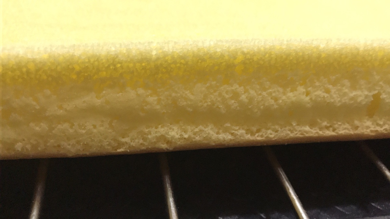 Step 11
