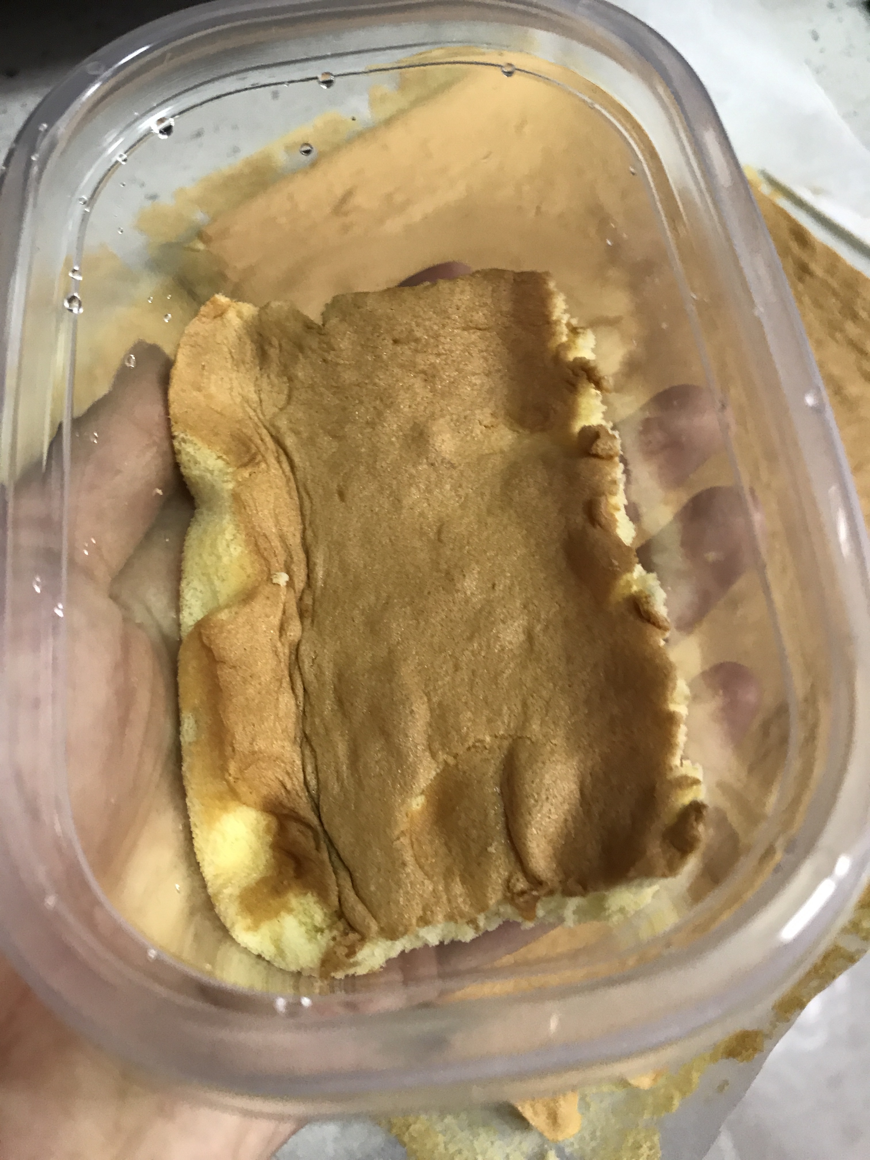 Step 10