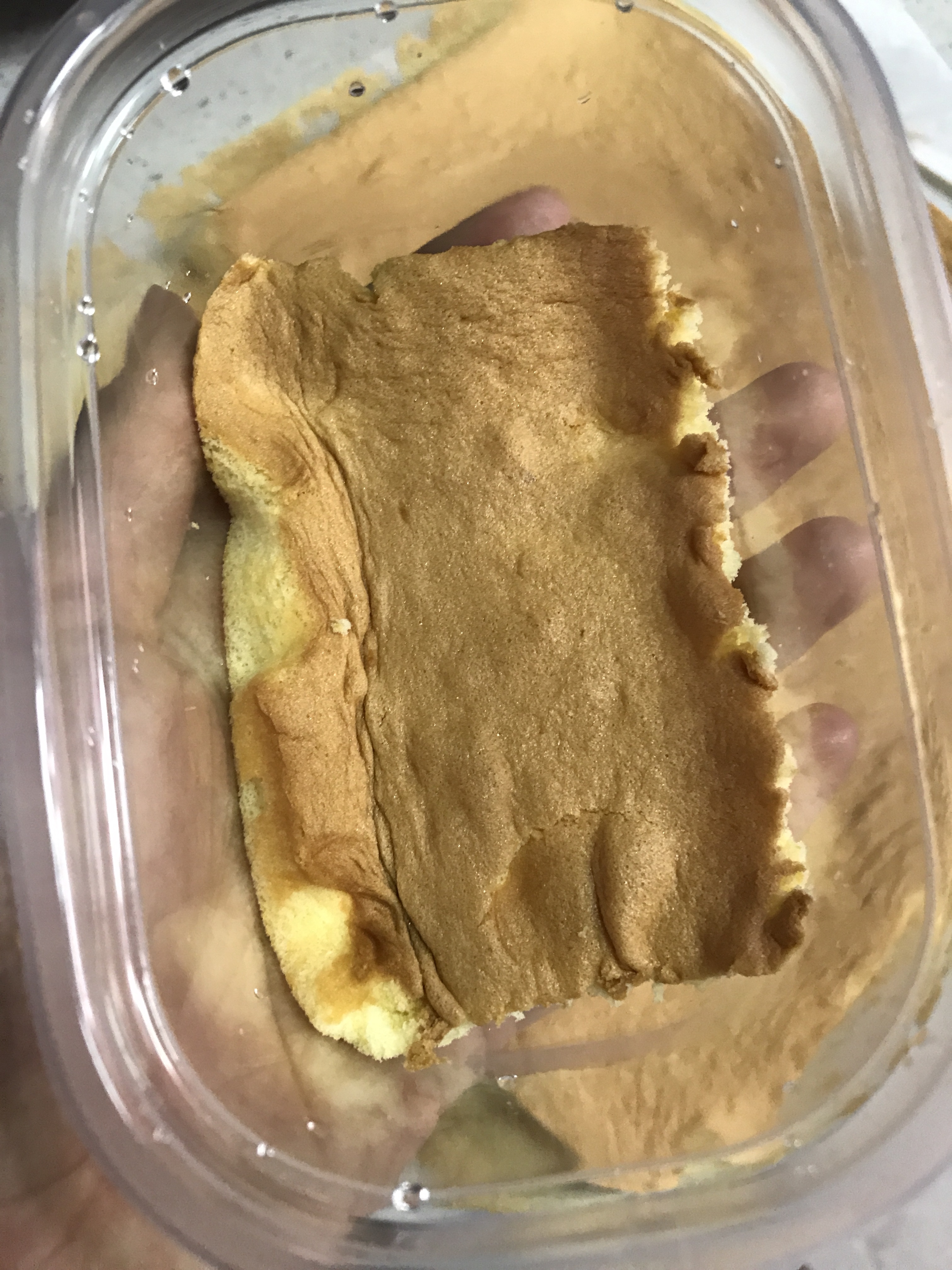 Step 23