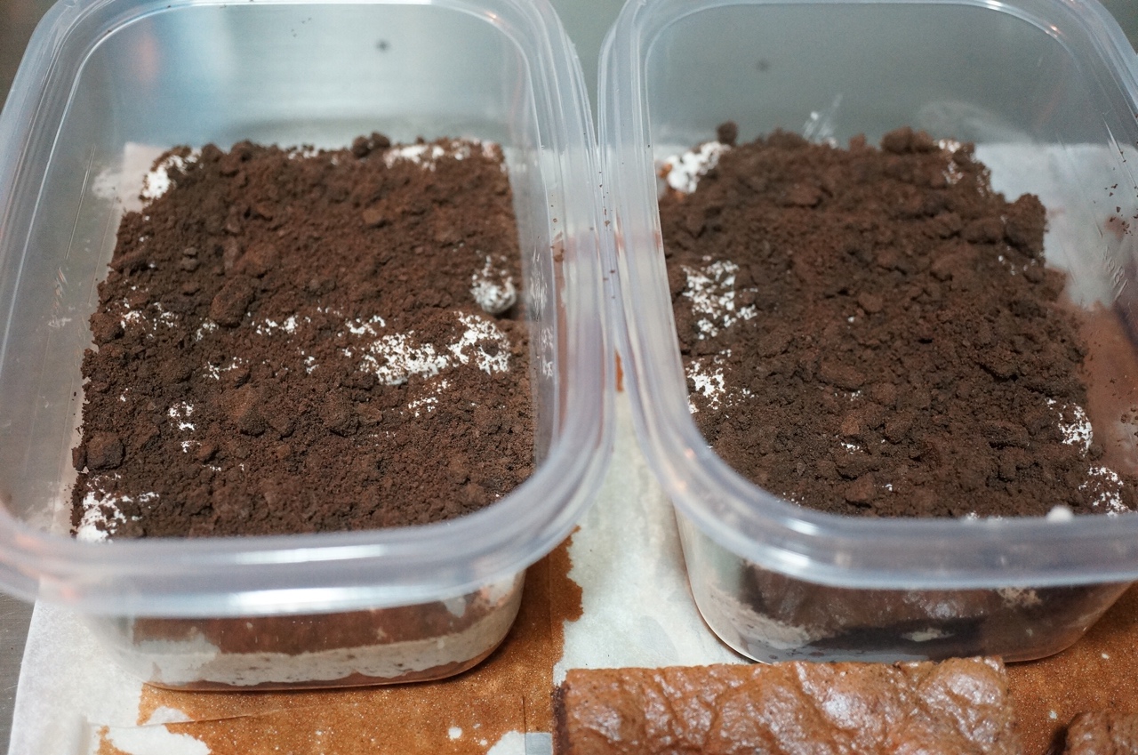 Step 11