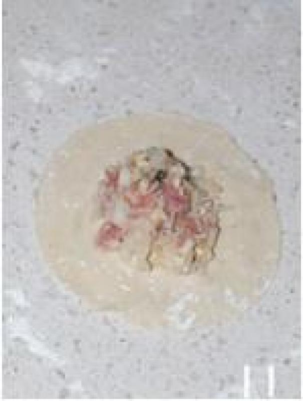 Step 11