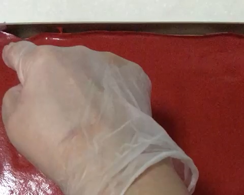 Step 11