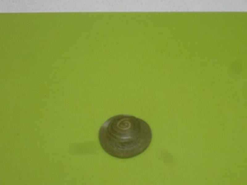 Step 30