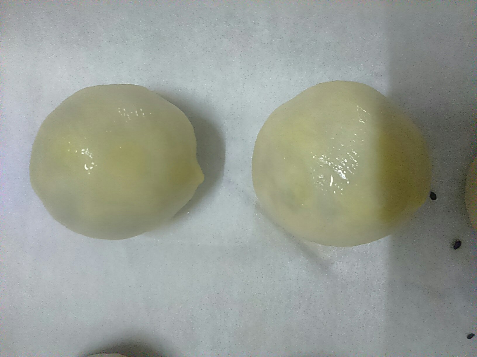 Step 25