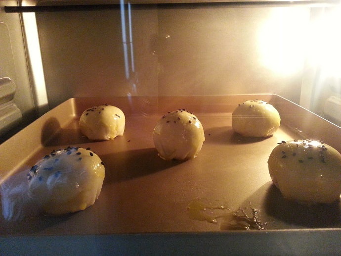 Step 15