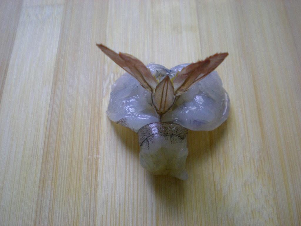 Step 9