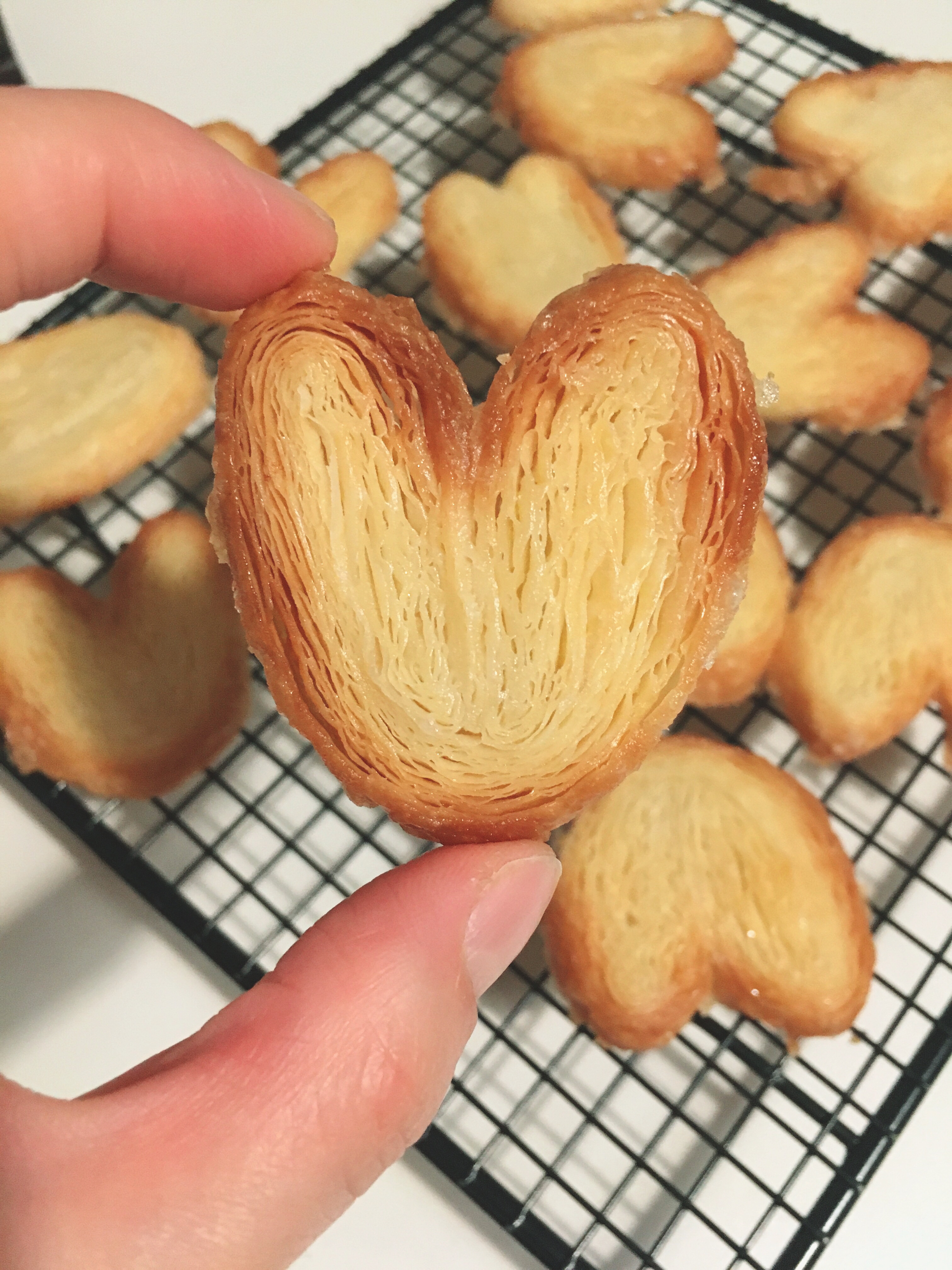 动物黄油蝴蝶酥