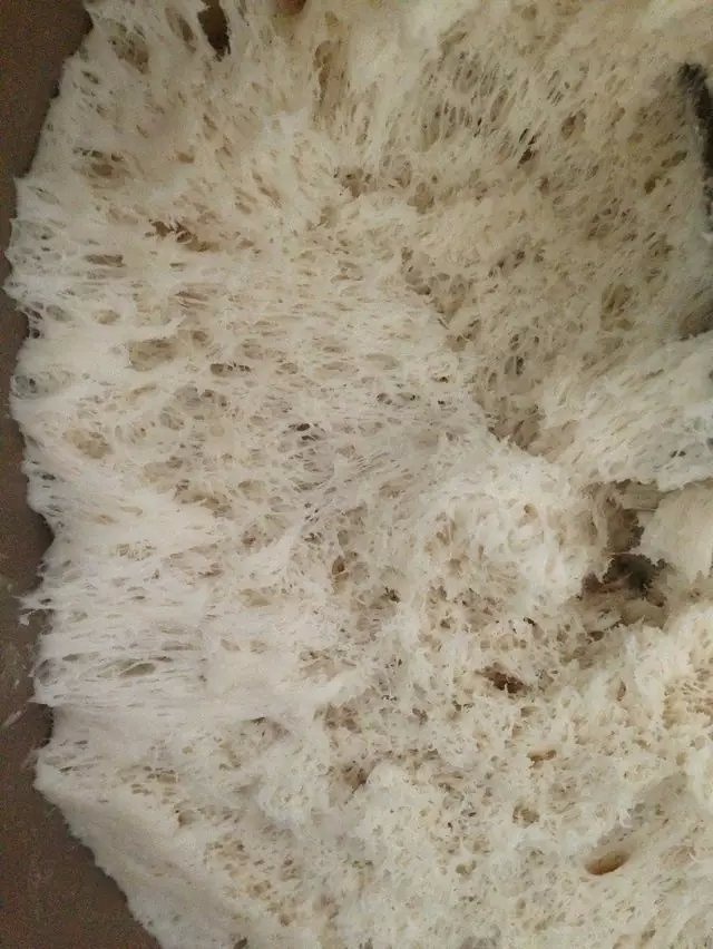 Step 6